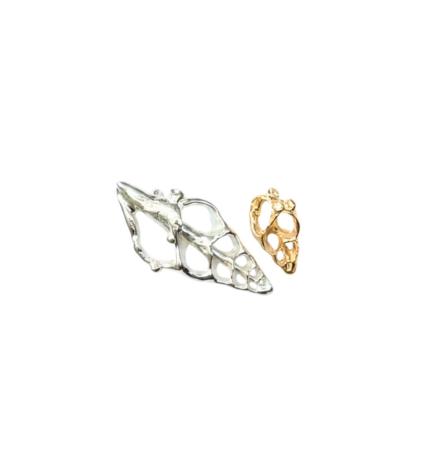 Skeleton Shell Charm - Fir & Fae X MultiStoriedLife