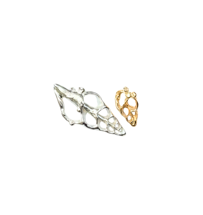 Skeleton Shell Charm - Fir & Fae X MultiStoriedLife