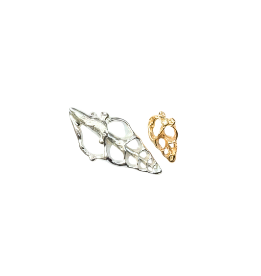 Skeleton Shell Charm - Fir & Fae X MultiStoriedLife