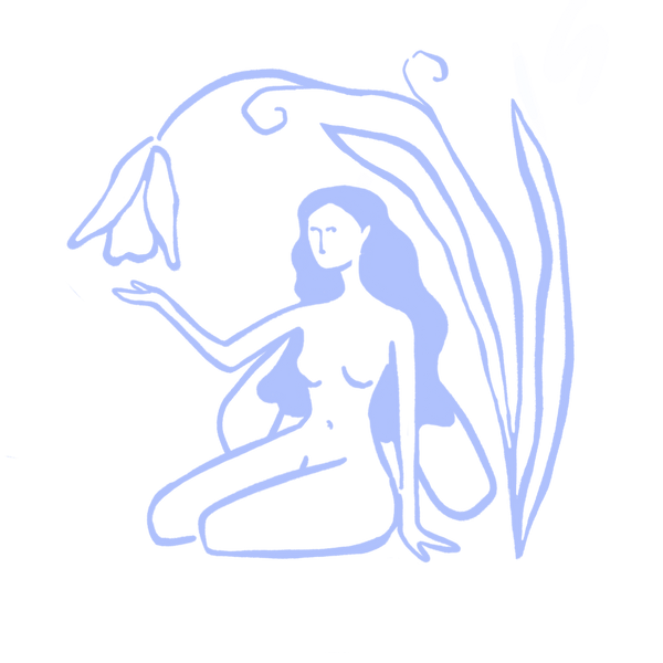 Fir & Fae 